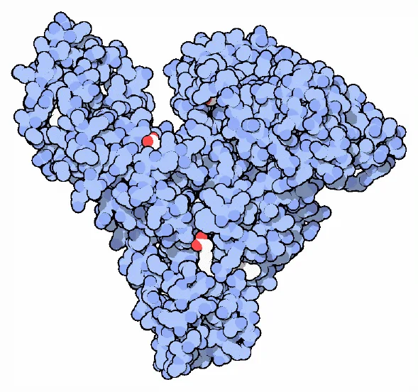 Albumin, made by the liver, is the most abundant protein in the blood