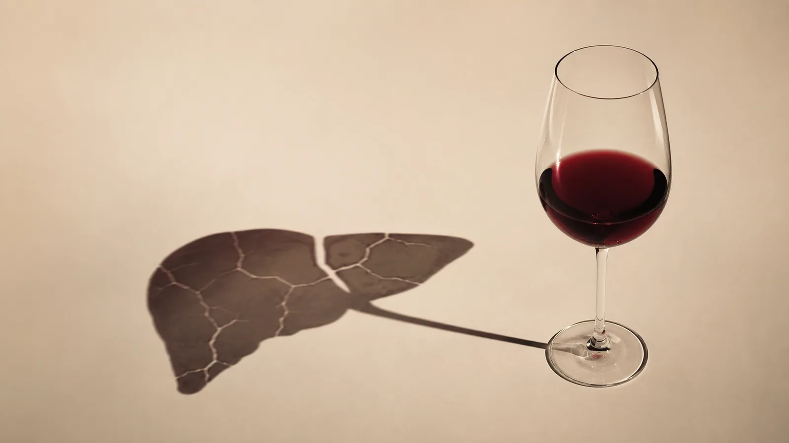 Ilustración médica sobre El mito de la copa de vino diaria: ¿el alcohol moderado es bueno para usted?